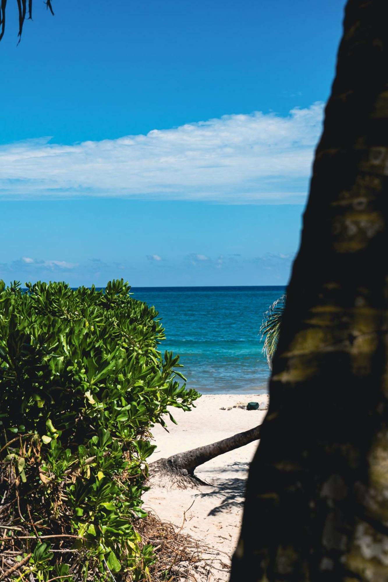 Tunich Jungle Cabanas Tulum Luaran gambar